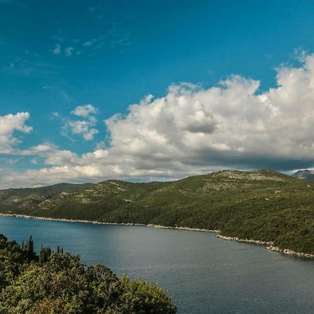 Diving Apartments Molunat Εξωτερικό φωτογραφία