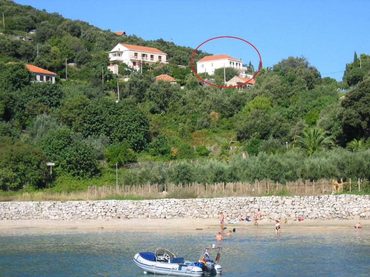 Diving Apartments Molunat Εξωτερικό φωτογραφία