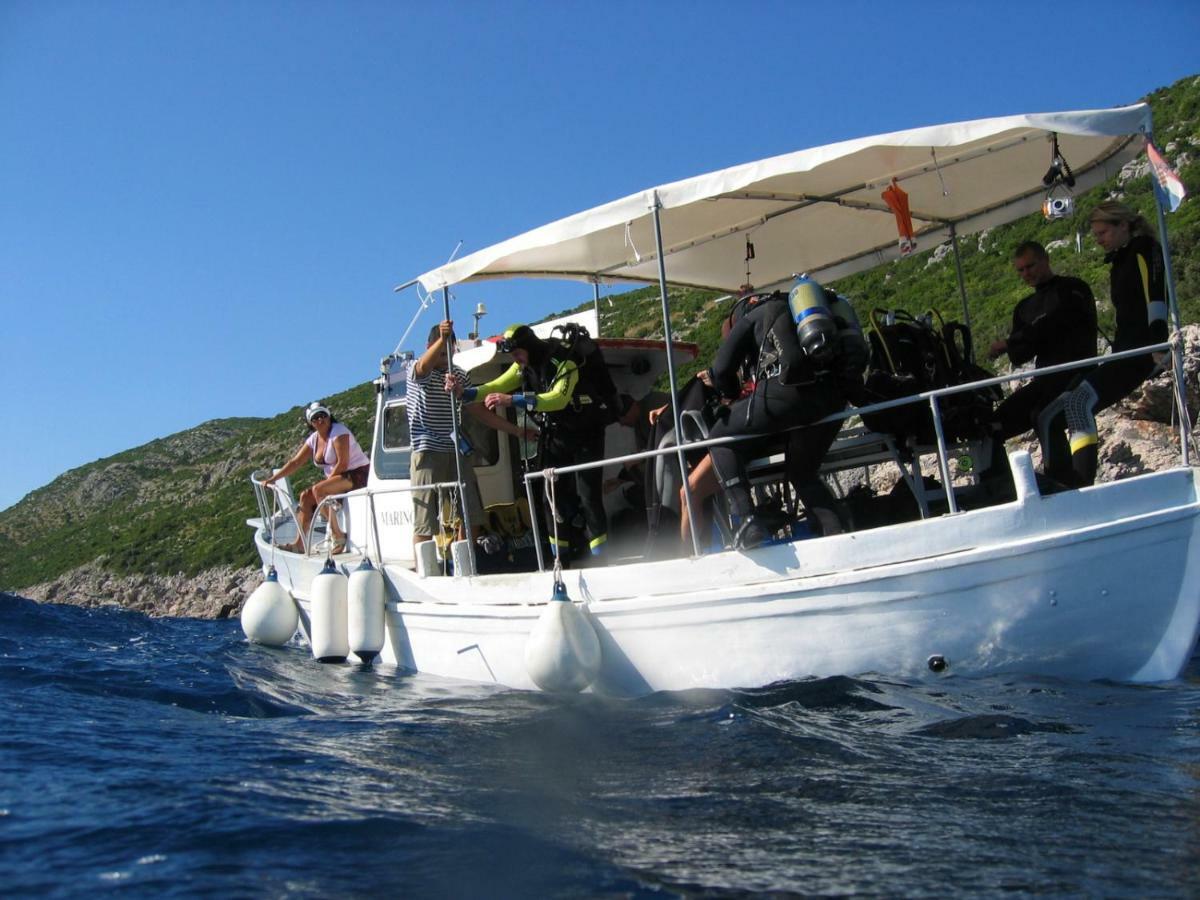 Diving Apartments Molunat Εξωτερικό φωτογραφία