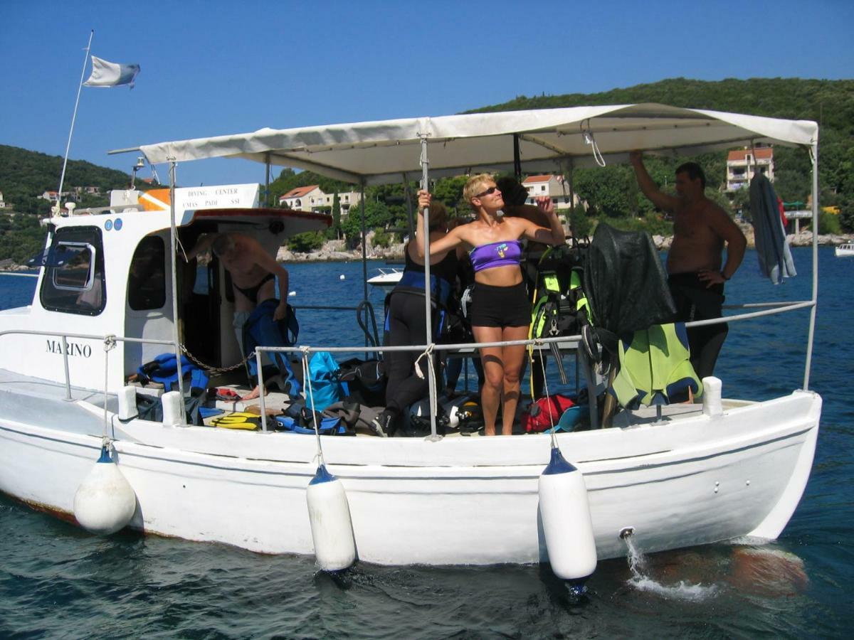 Diving Apartments Molunat Εξωτερικό φωτογραφία