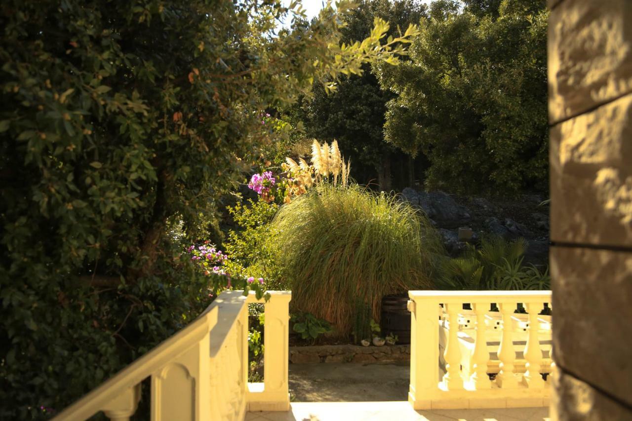 Diving Apartments Molunat Εξωτερικό φωτογραφία